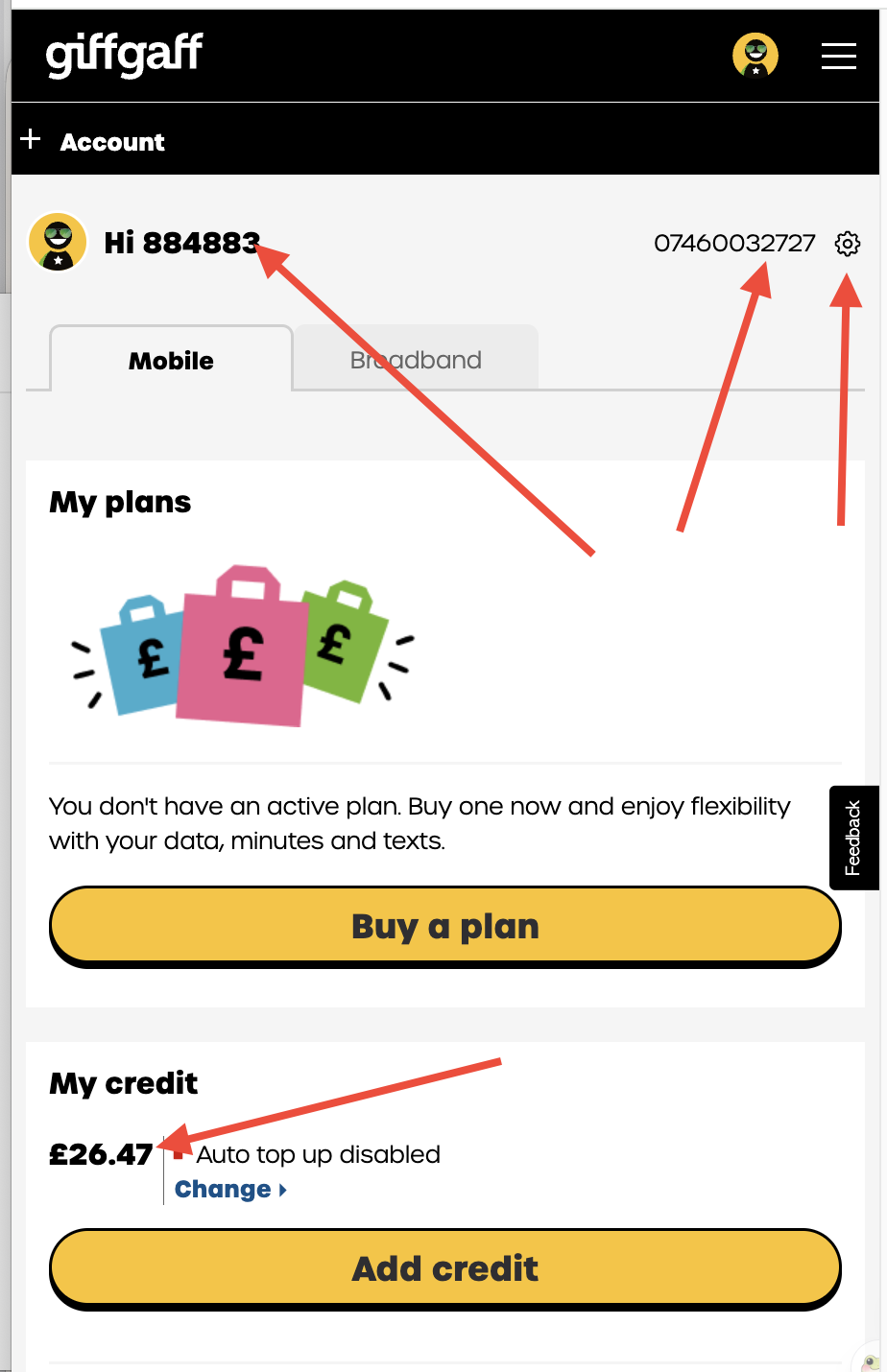 Giffgaff 正常状态示例
